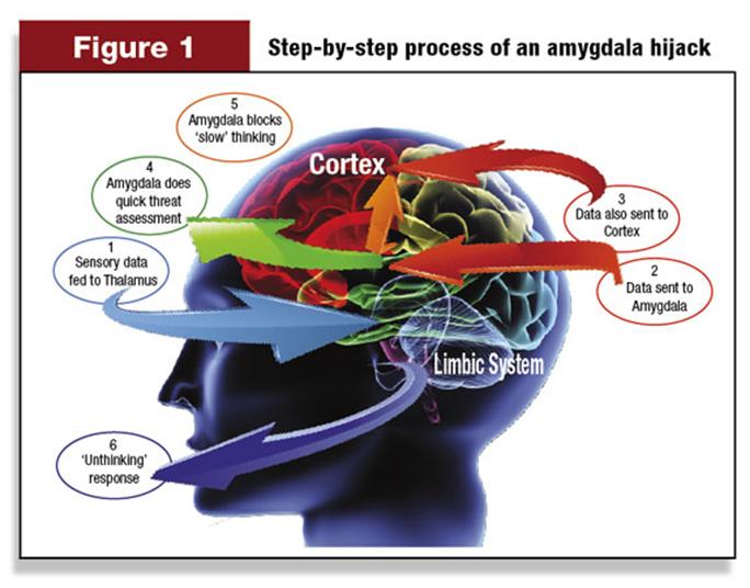 schema della sequenza passo-passo del processo di Amygdala hijack